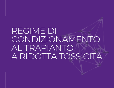 banner corso
