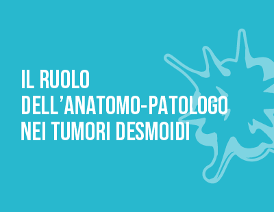 banner corso