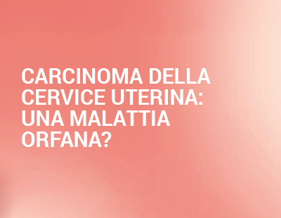 banner corso